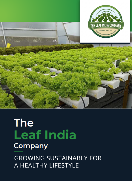 Pune Vegetables Suppliers and Manufacturers
