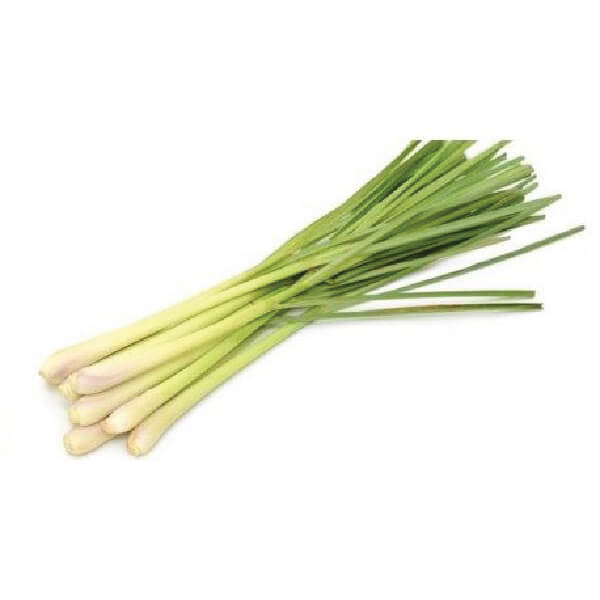 Lemongrass-Stalk-Supplier-In-India | Fresh-Herbs-Supplier-In-India