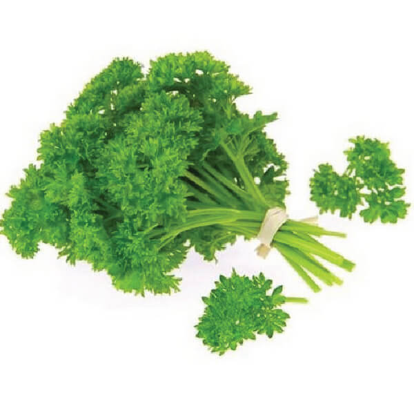 fresh herbs for sale