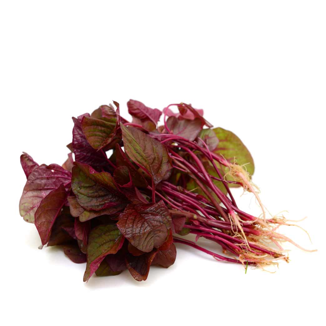 Red-Amaranthus-Wholesaler-In-India